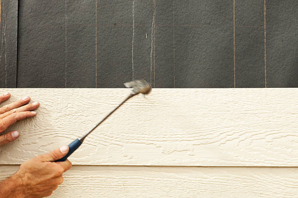 Best Vinyl Siding Installation  in Duncannon, PA